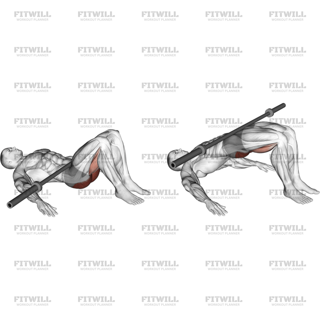 Barbell Glute Bridge: Exercise Guide, Techniques, Benefits, How to ...