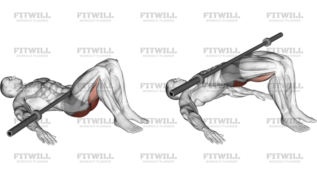 Barbell Glute Bridge