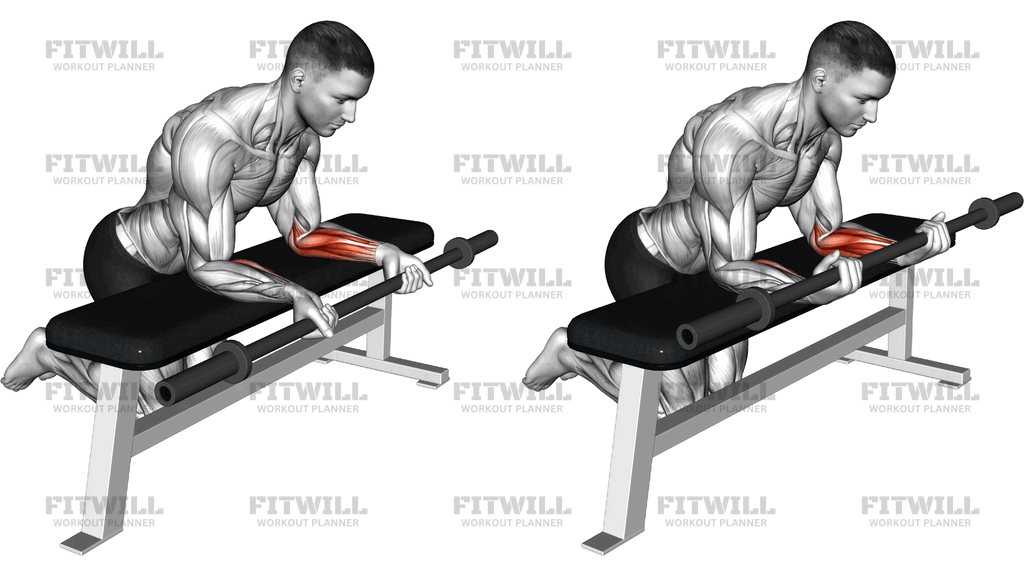 Barbell Palms Up Wrist Curl Over A Bench