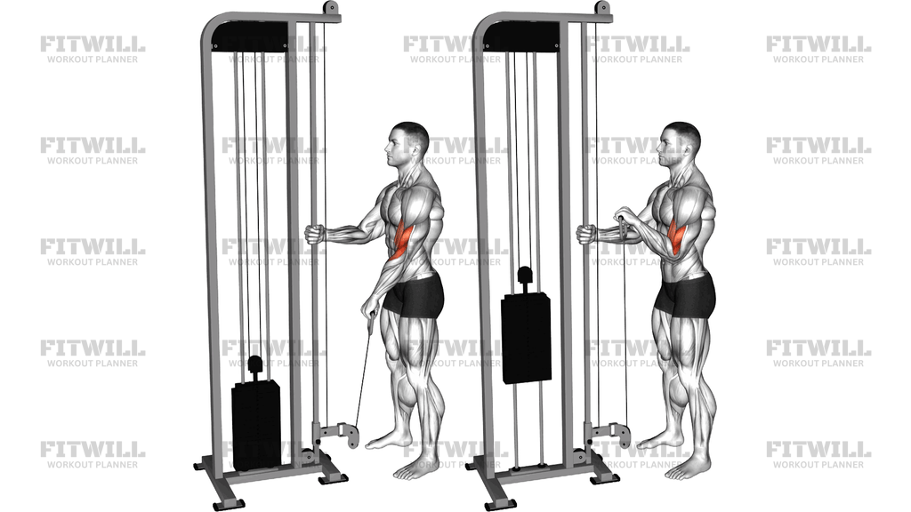 Cable Reverse One-Arm Curl
