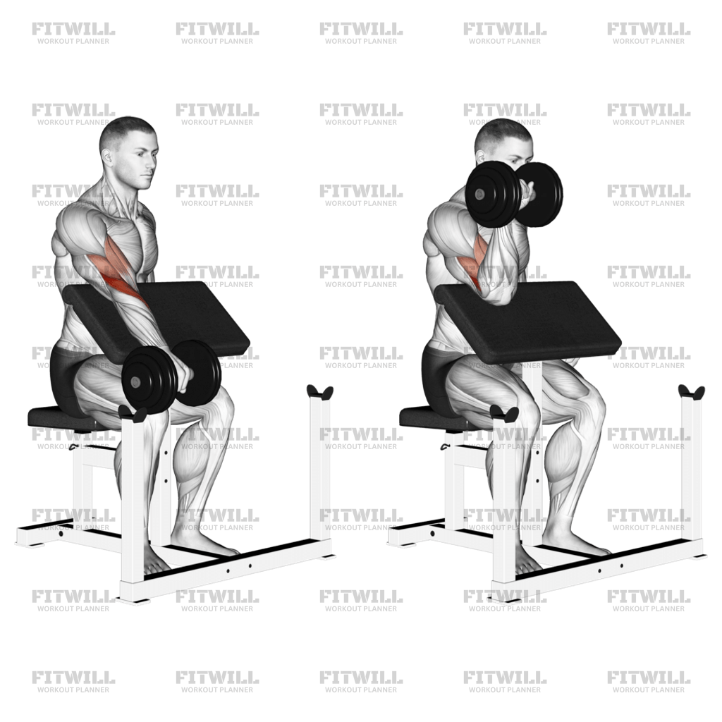 Dumbbell One Arm Reverse Preacher Curl Exercise Guide Video Techniques Benefits How to Muscles Worked Tips Tricks Fitwill