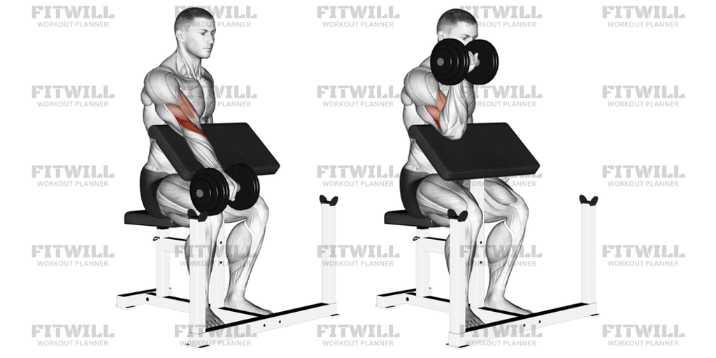 Dumbbell One-Arm Reverse Preacher Curl: Exercise Guide, Video ...