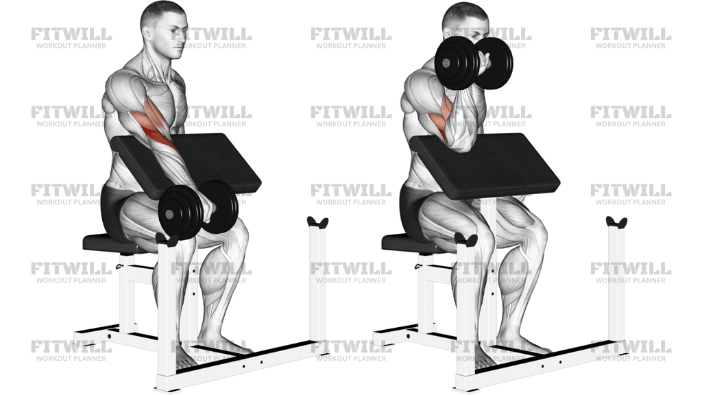 Dumbbell One-Arm Reverse Preacher Curl