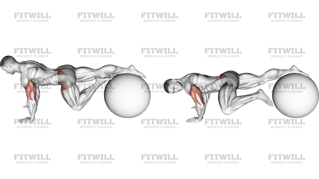 Exercise Ball One Leg Prone Lower Body Rotation: Exercise Guide ...