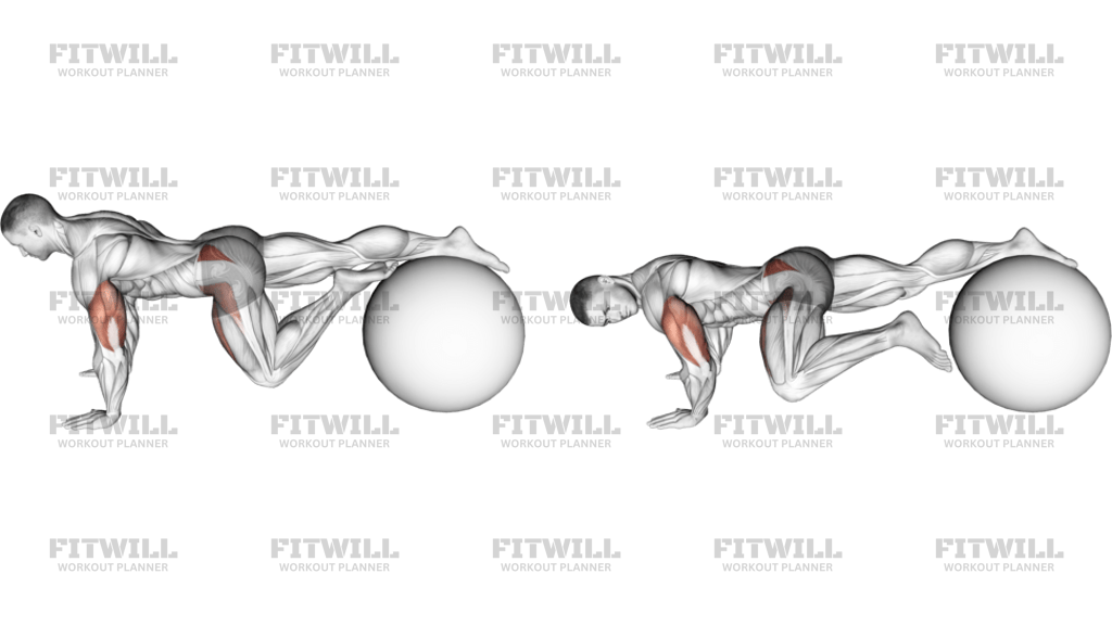 Exercise Ball One Leg Prone Lower Body Rotation