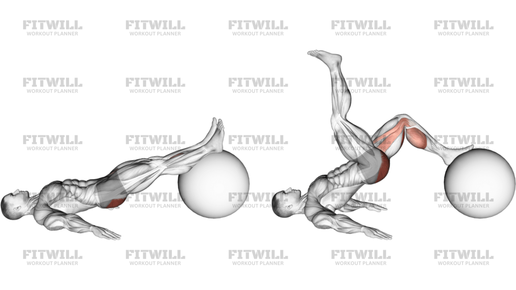 Exercise Ball One Legged Diagonal Kick Hamstring Curl