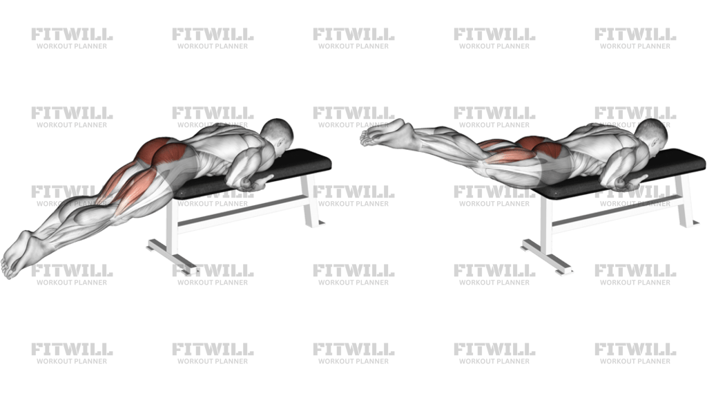 Reverse Hyper On Flat Bench