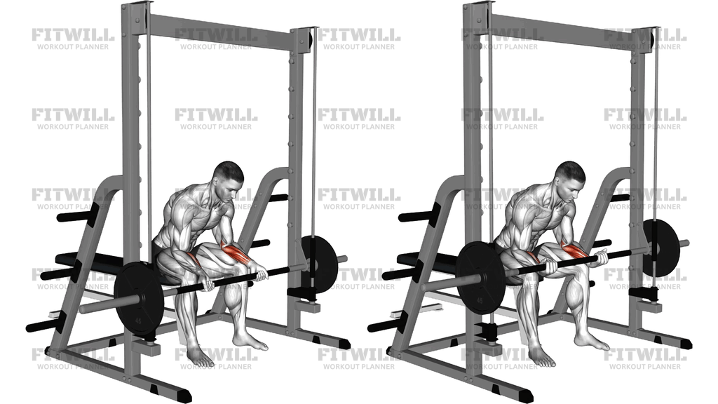 Smith Seated Wrist Curl