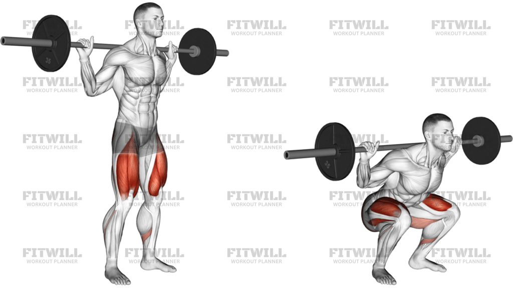 Barbell Low Bar Squat