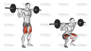 Barbell High Bar Squat