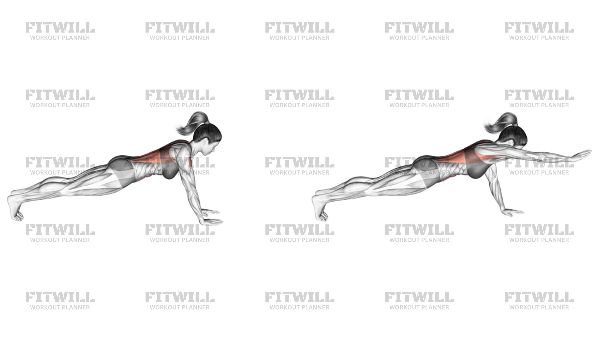 Plank with arm raise sale