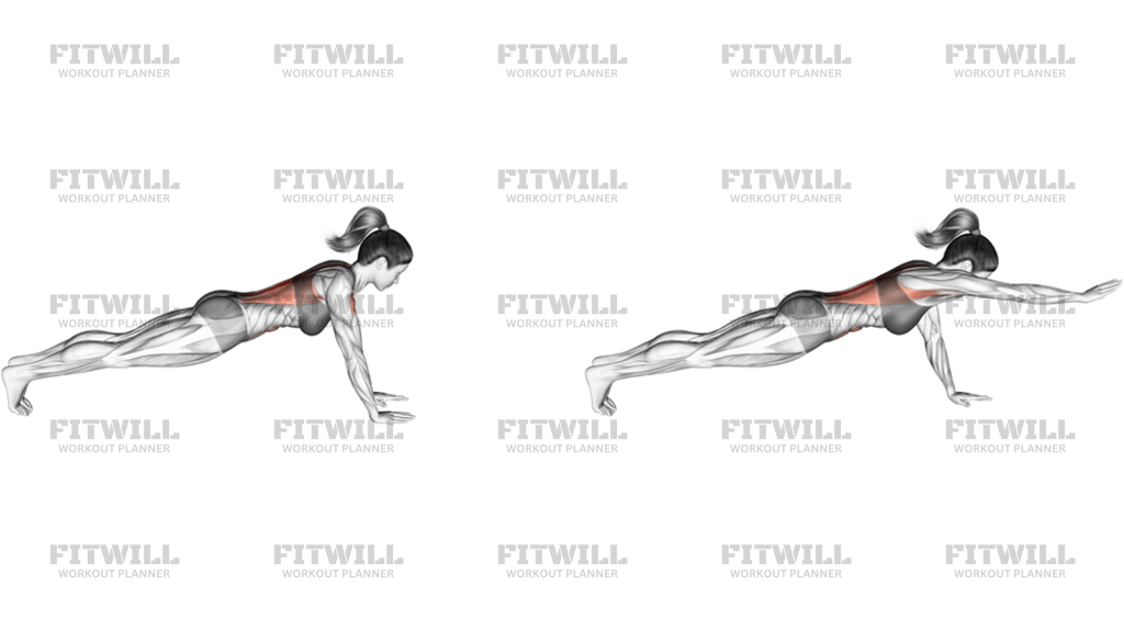 Plank Arm Lifts