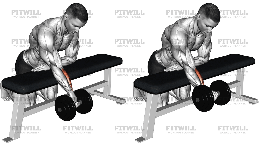 Dumbbell Over Bench One-Arm Reverse Wrist Curl