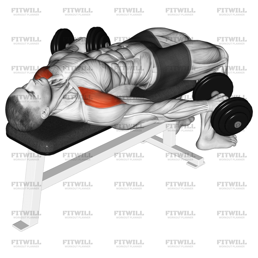 Dumbbell Lying Pronated Grip Maltese Hold Isometric: Exercise Guide ...
