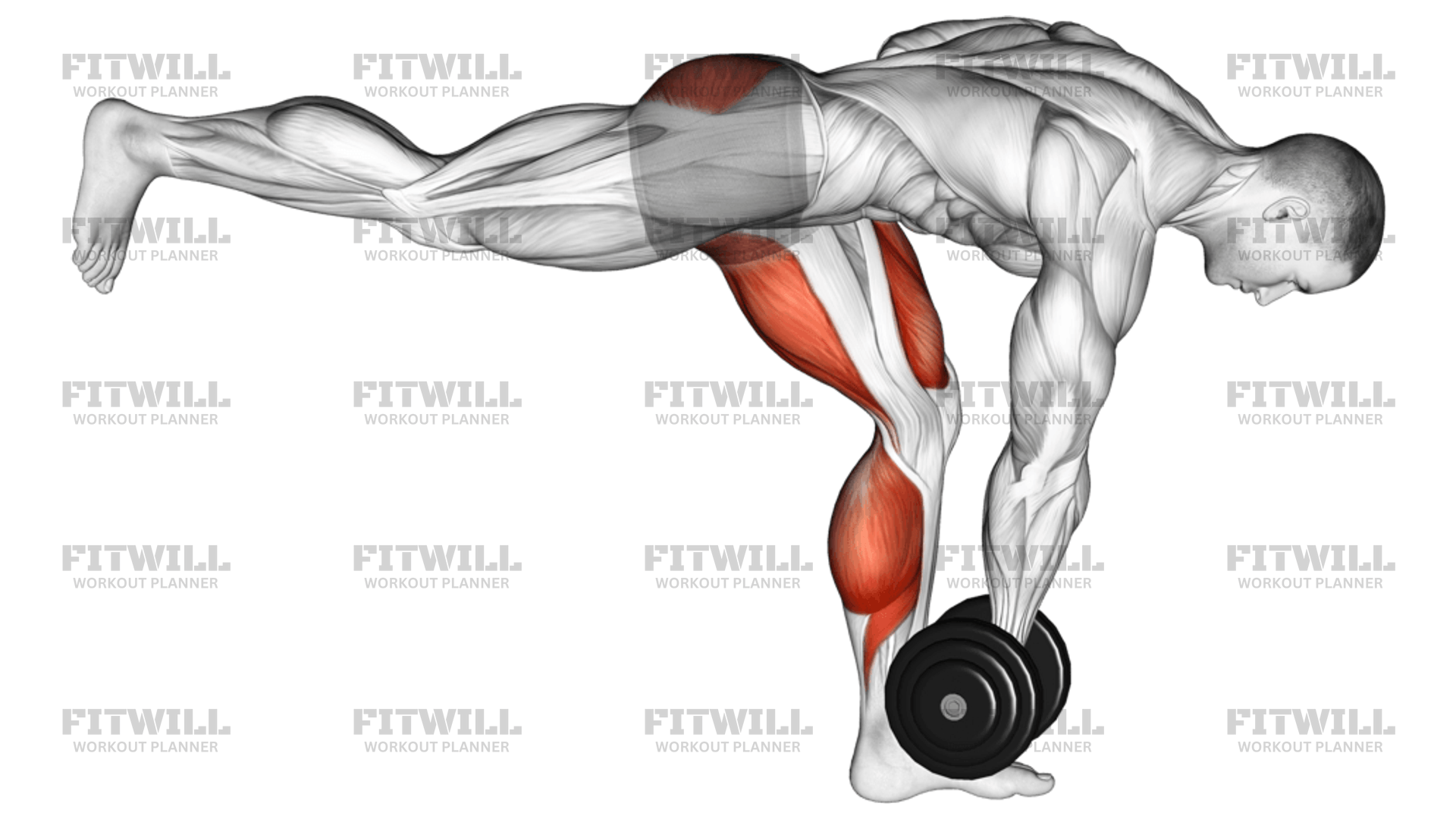 Isometric upper back exercises best sale