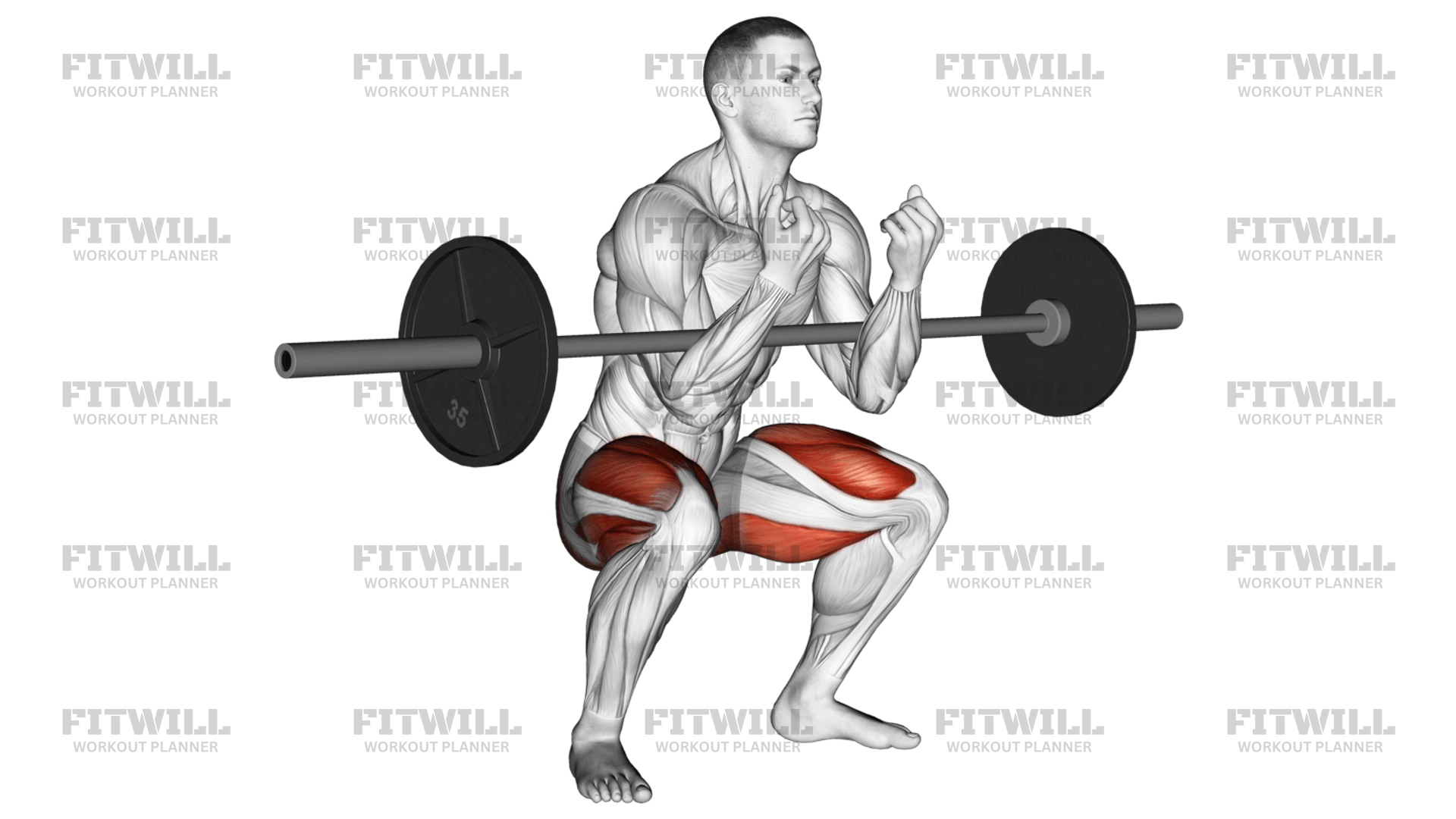 Flat Foot Squat with Barbell
