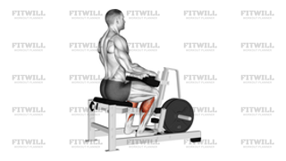 Lever Calf Stretch Plate Loaded Isometric