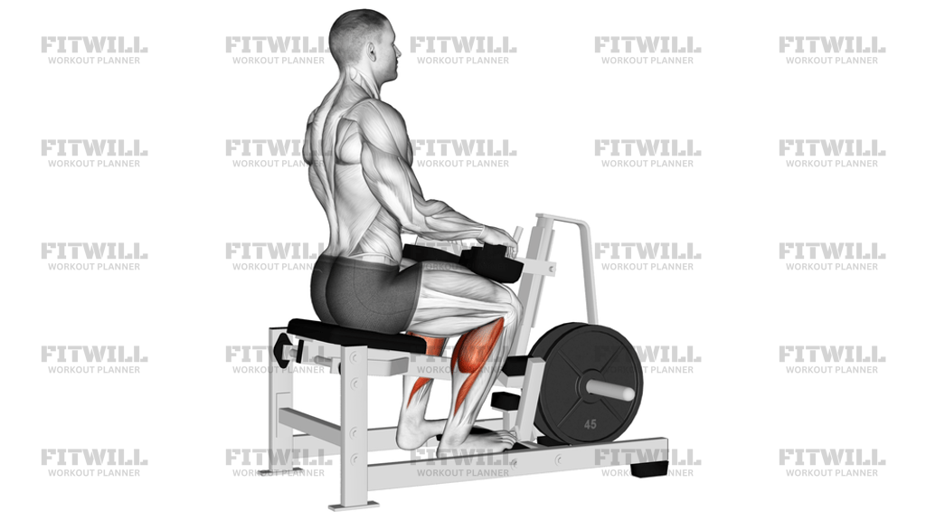 Lever Calf Stretch Plate Loaded Isometric