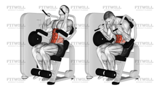 Lever Seated Crunch