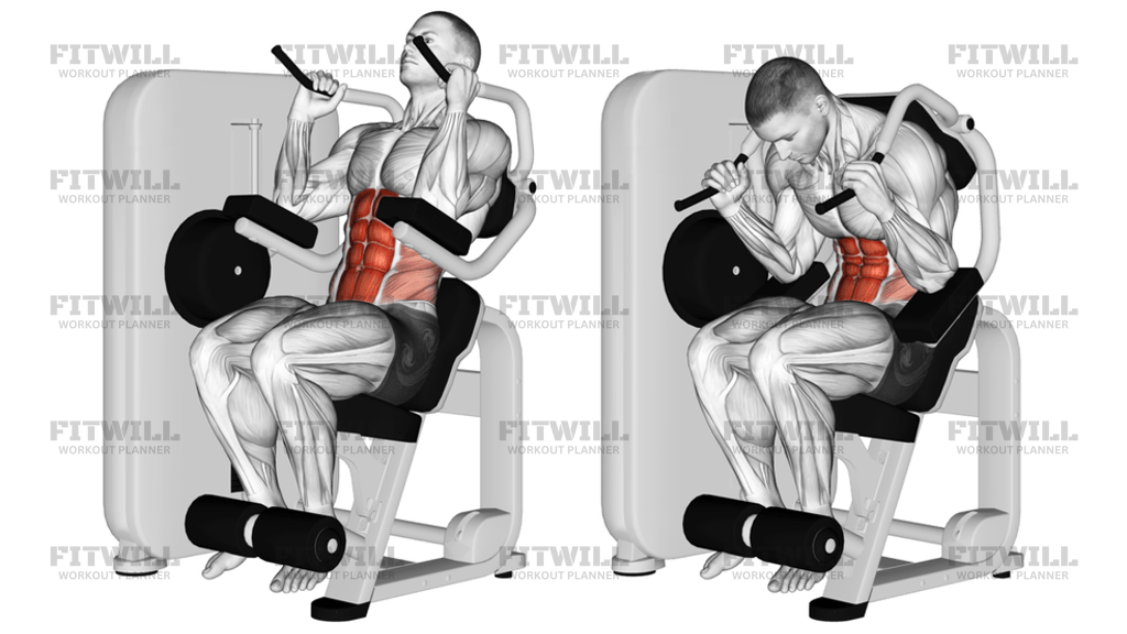 Lever Seated Crunch