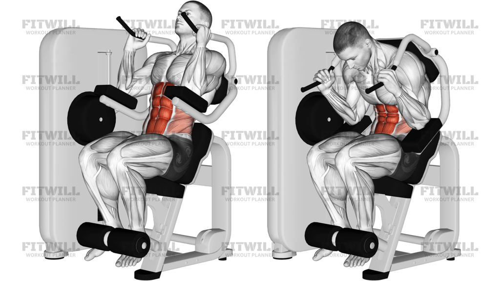 Lever Seated Crunch