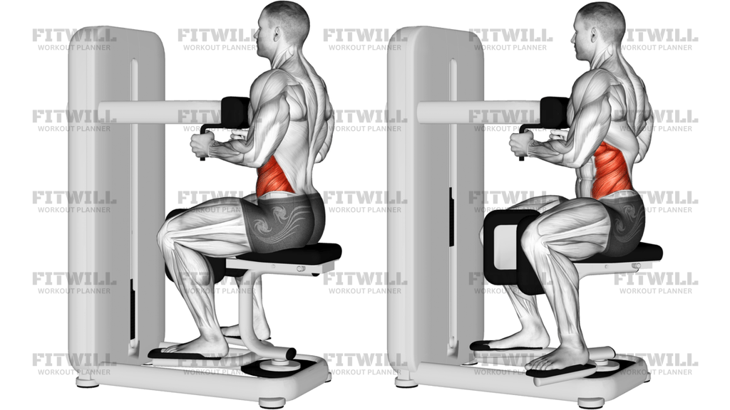 Lever Seated Twist