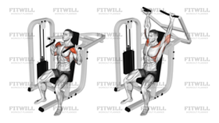 Lever Seated Shoulder Press