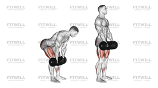 Dumbbell Romanian Deadlift