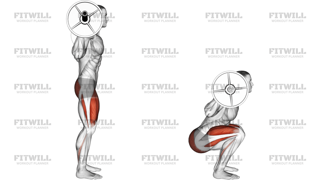 Barbell Full Squat Side POV