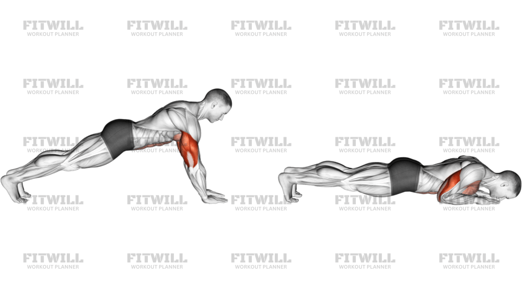 Push-Up On Forearm