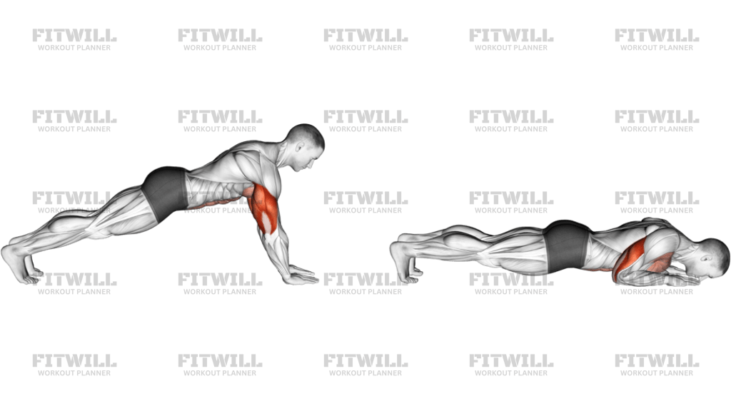 Push-Up On Forearm