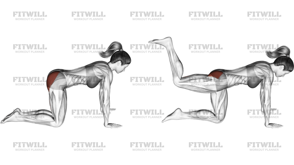 Kneeling Bent Leg Kickback