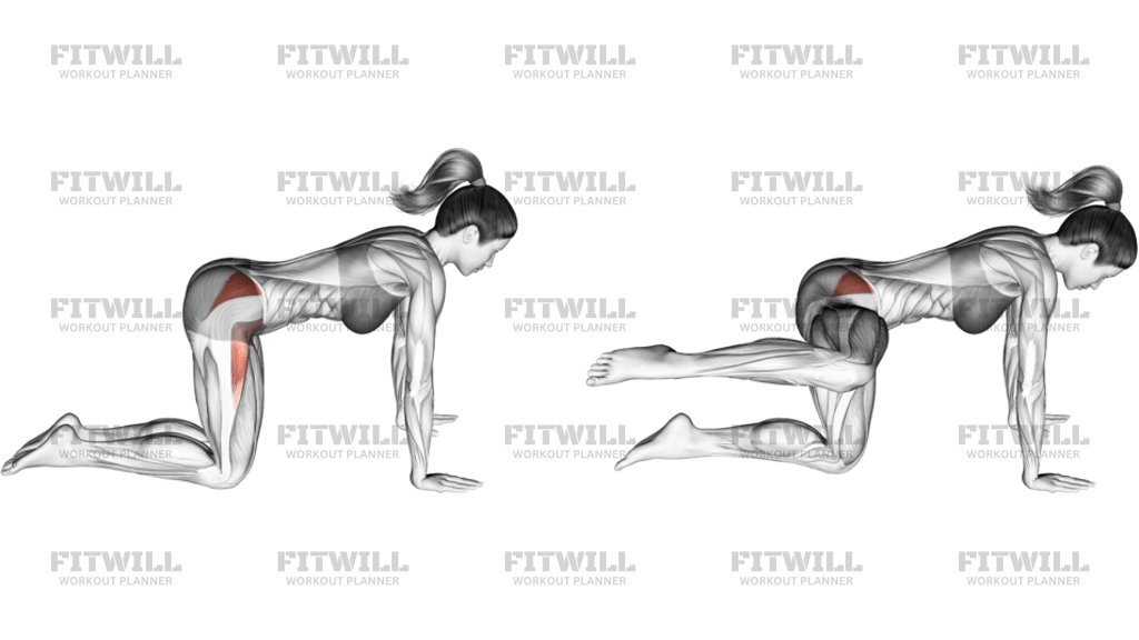 Kneeling Bent Leg Side Kick