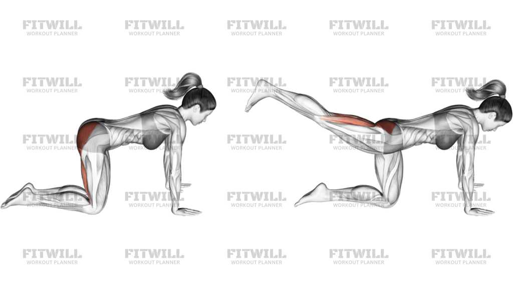 Kneeling Straight Leg Kickback