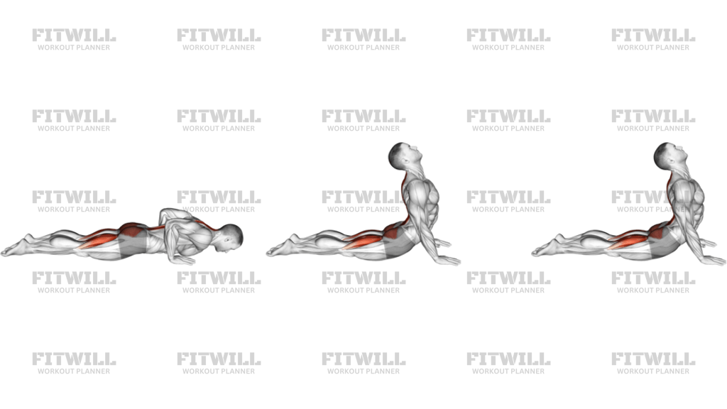 Cobra Yoga Pose