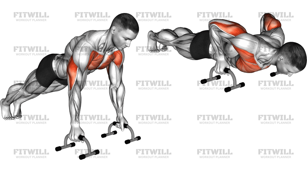 Deep Push-Up With Push-Up Bars