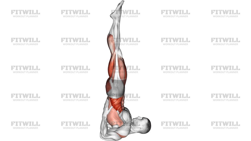 Shoulder Stand Yoga Pose