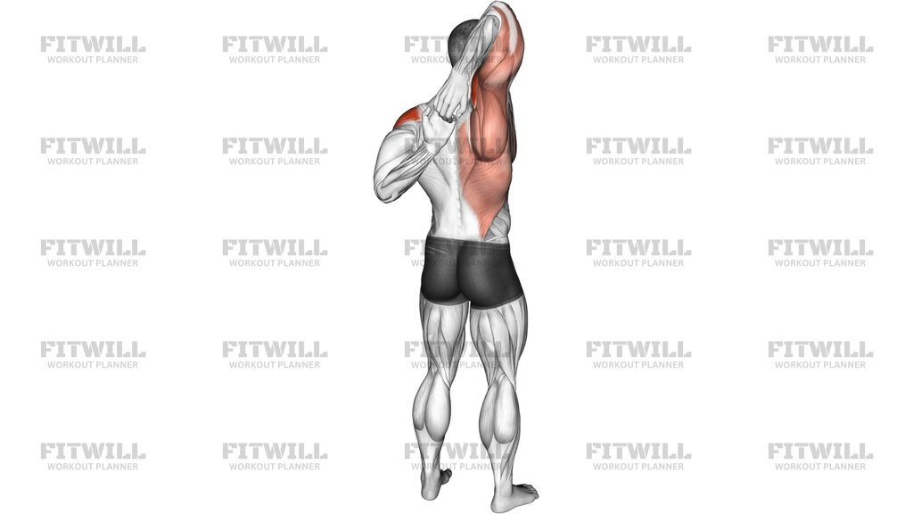 Shoulder Stretch Behind The Back