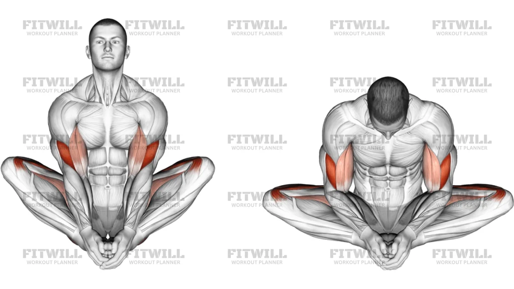 Butterfly Yoga Pose