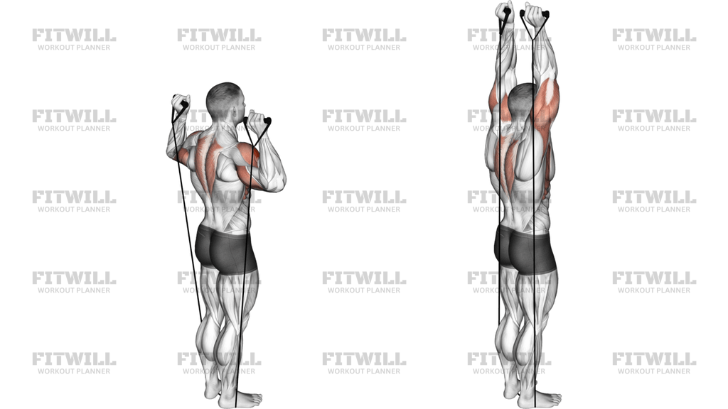 Band Behind Neck Shoulder Press