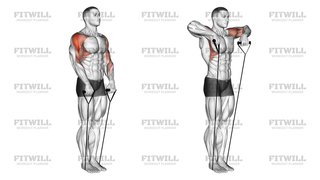 Resistance band upright row muscles worked sale