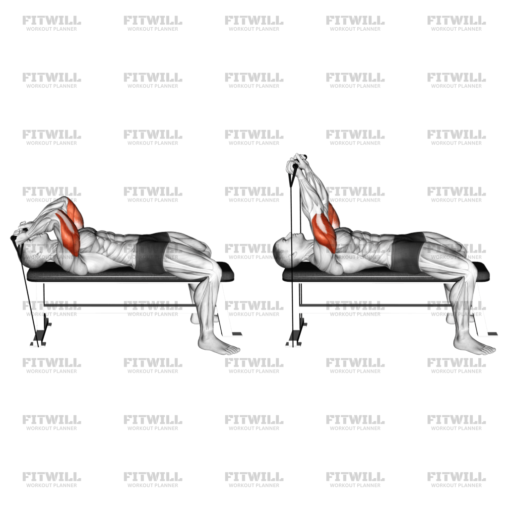 Skull crusher resistance bands sale