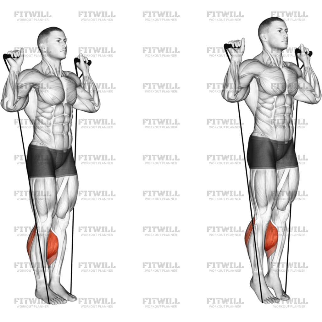 Band Calf Raise Version 3: Exercise Guide, Techniques, Benefits, How to ...