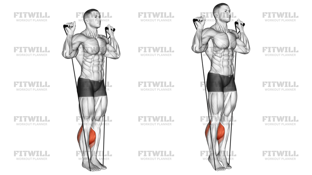 Band Calf Raise Version 3: Exercise Guide, Techniques, Benefits, How to ...