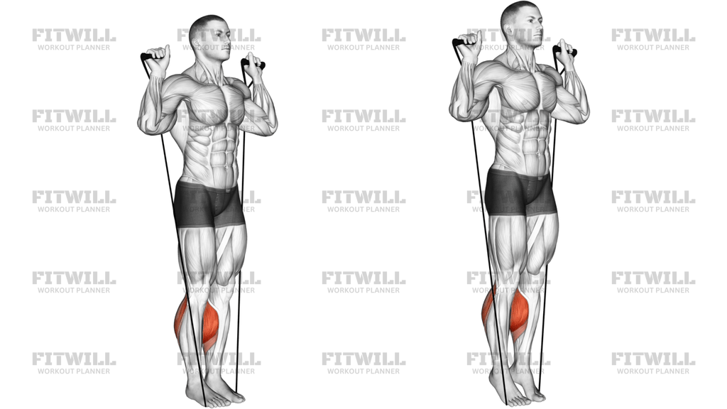Band Calf Raise Version 3