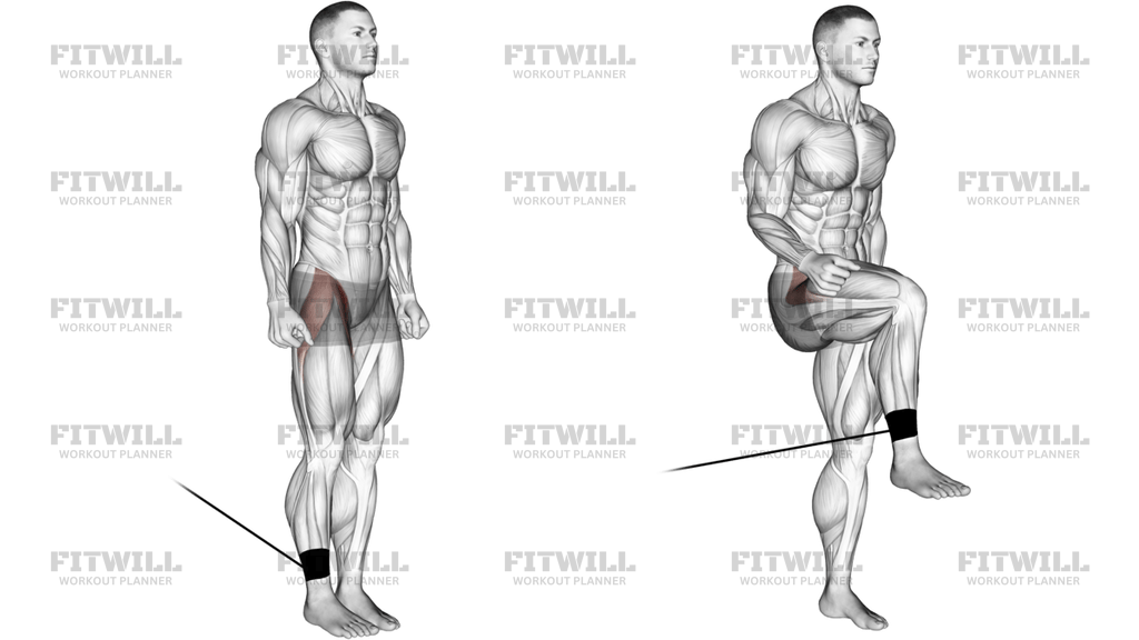 Band Hip Flexion
