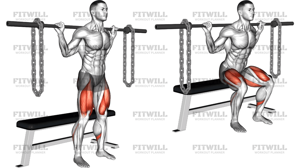 Barbell Bench Squat With Chains