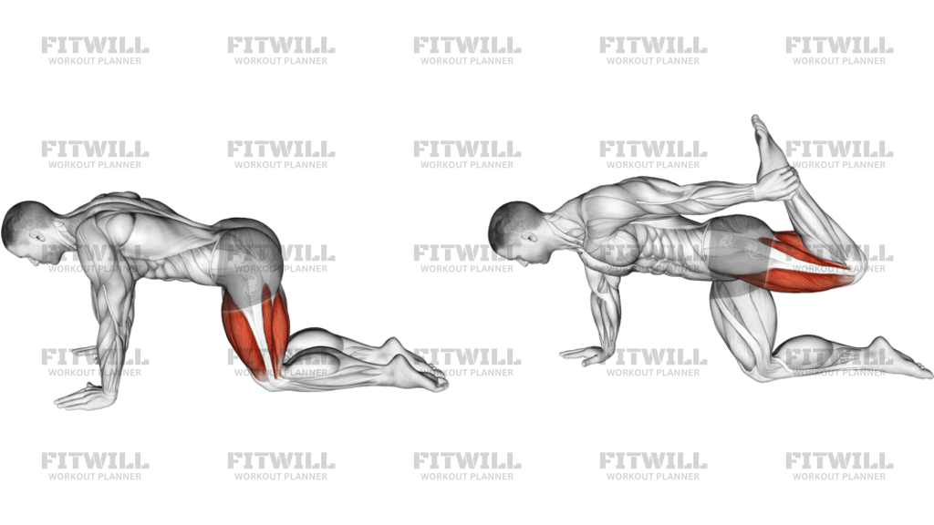 All Fours Squad Stretch