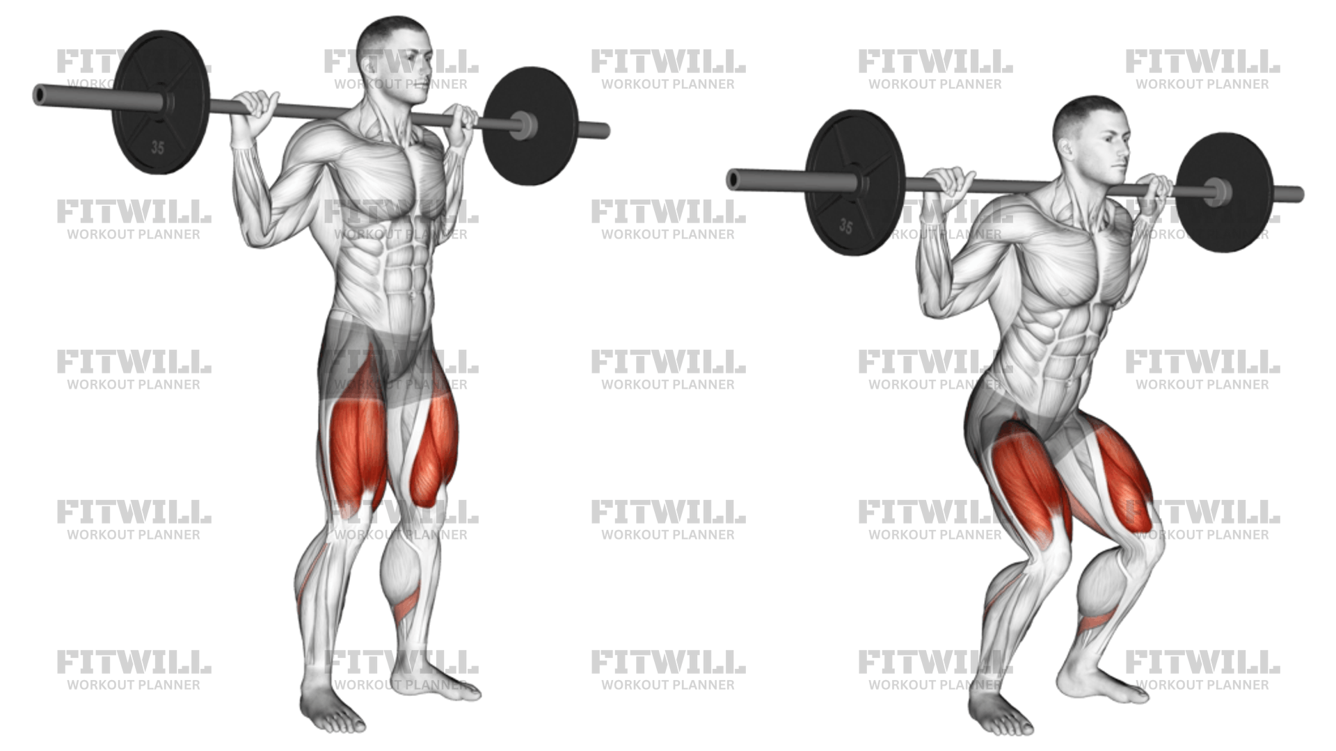 Barbell Quarter Squat Exercise Guide Video Techniques Benefits How to Muscles Worked Tips Tricks Fitwill