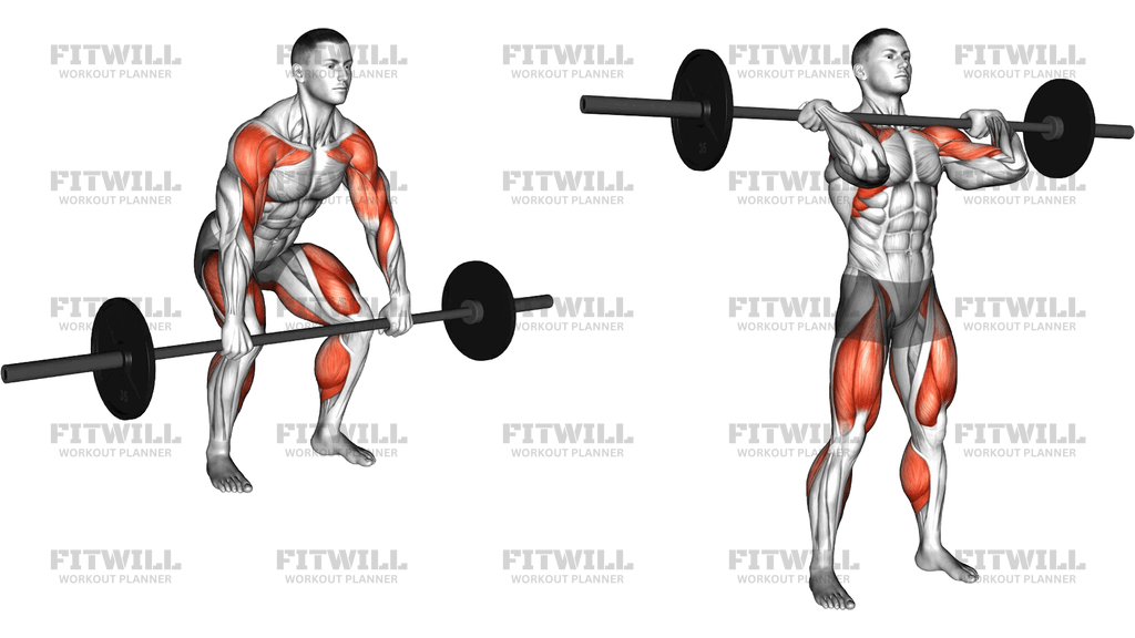 Barbell Hang Clean Below The Knees